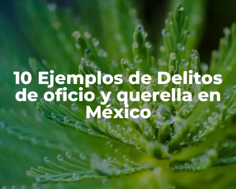 10 Ejemplos de Delitos de oficio y querella en México