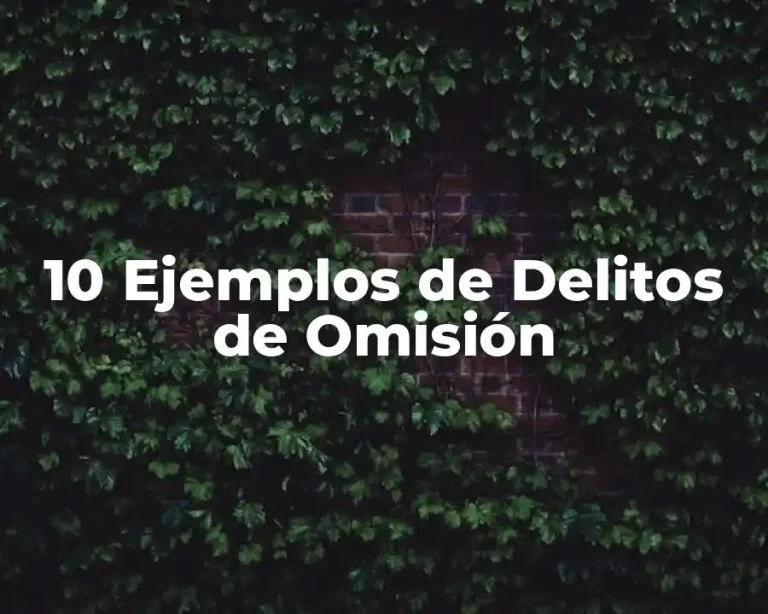 10 Ejemplos de Delitos de Omisión