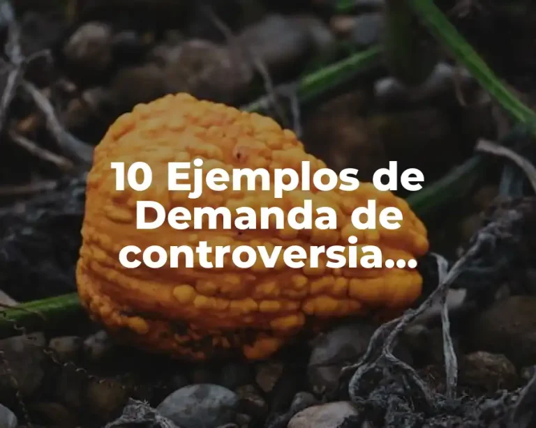 10 Ejemplos de Demanda de controversia constitucional