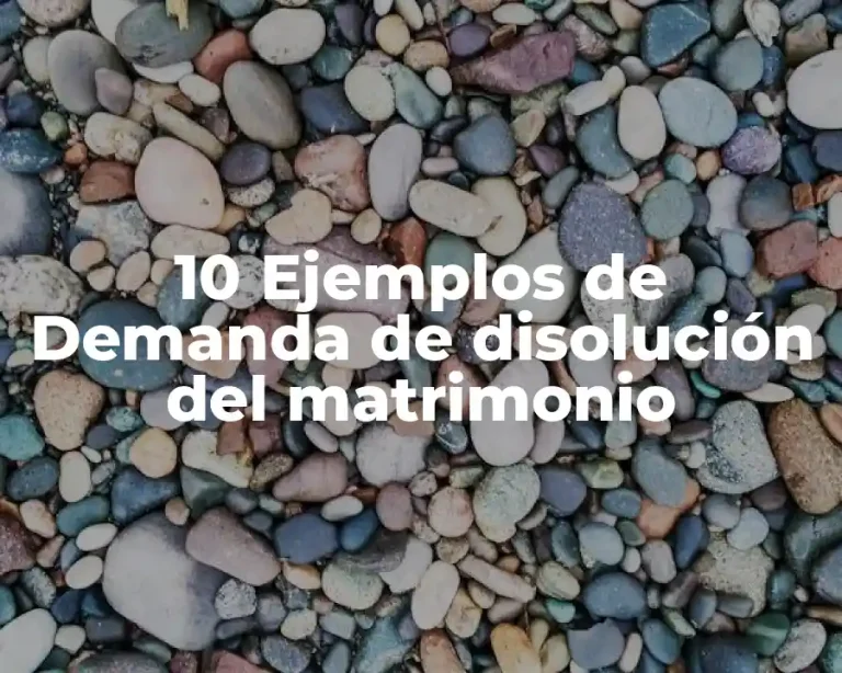 10 Ejemplos de Demanda de disolución del matrimonio