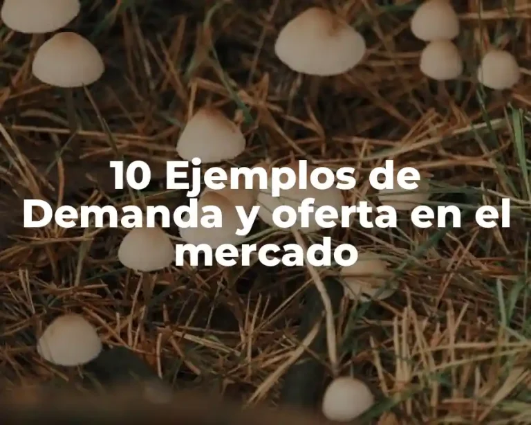 10 Ejemplos de Demanda y oferta en el mercado