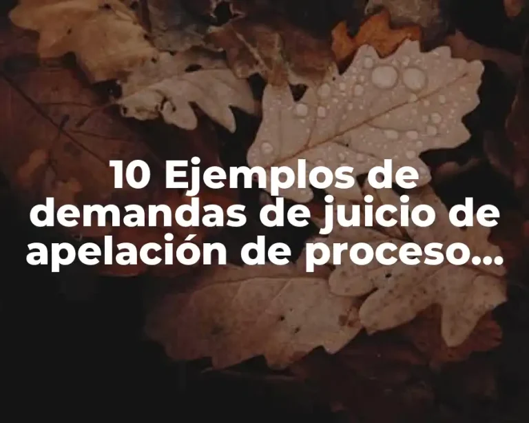 10 Ejemplos de demandas de juicio de apelación de proceso electoral