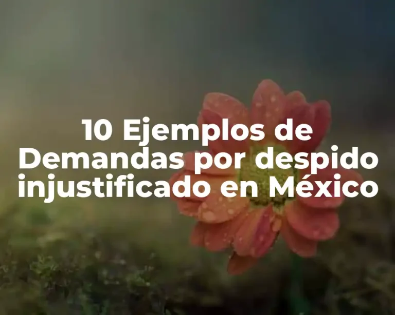 10 Ejemplos de Demandas por despido injustificado en México