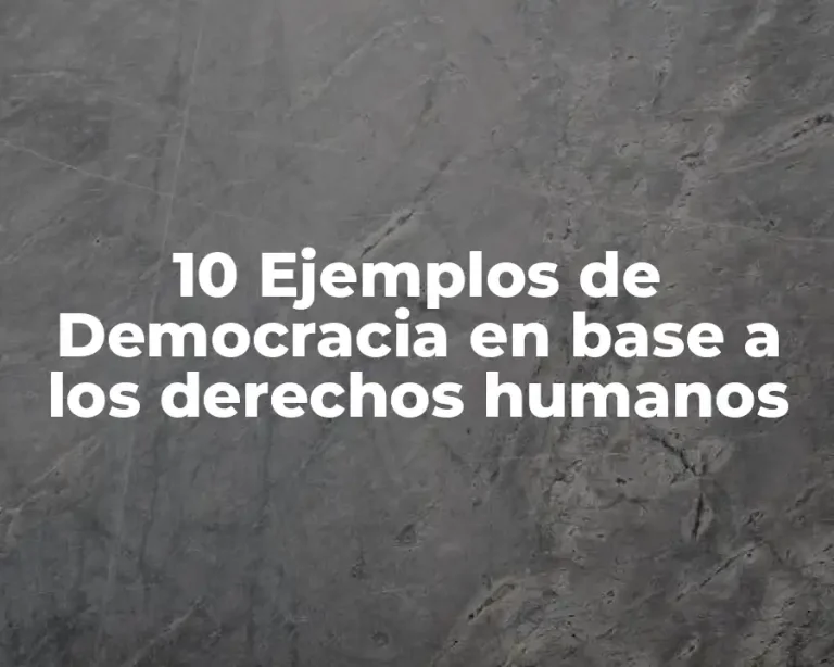 10 Ejemplos de Democracia en base a los derechos humanos