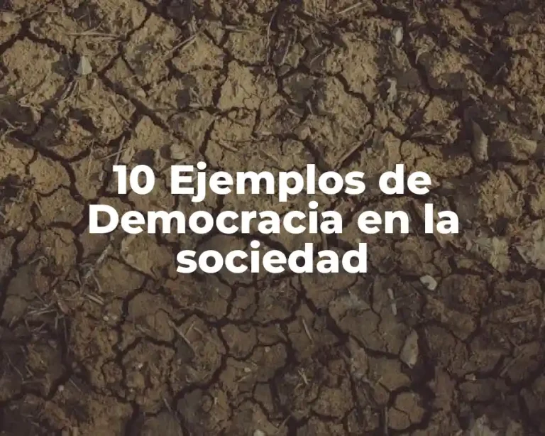 10 Ejemplos de Democracia en la sociedad