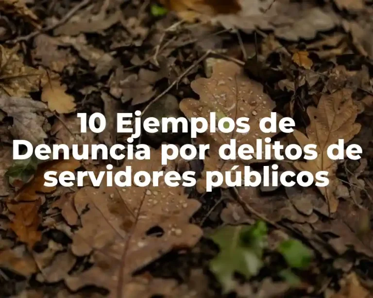 10 Ejemplos de Denuncia por delitos de servidores públicos