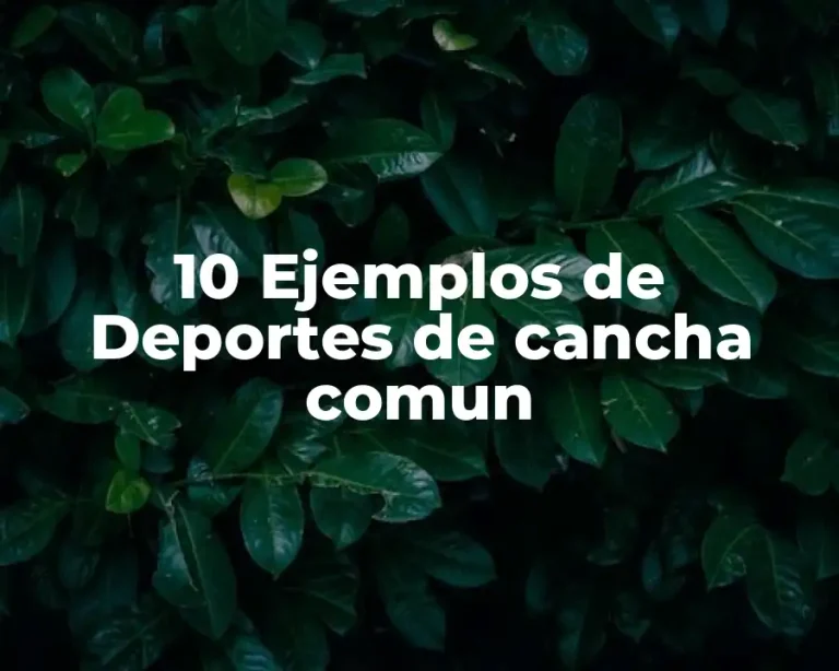 10 Ejemplos de Deportes de cancha comun