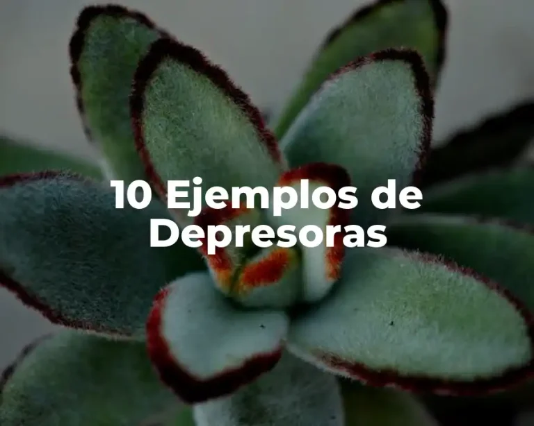 10 Ejemplos de Depresoras