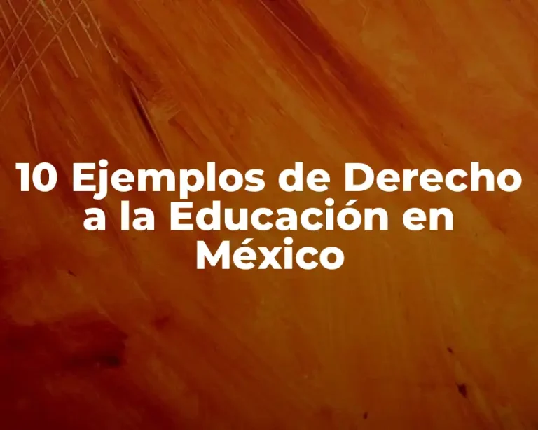 10 Ejemplos de Derecho a la Educación en México