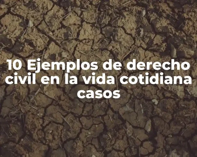 10 Ejemplos de derecho civil en la vida cotidiana casos