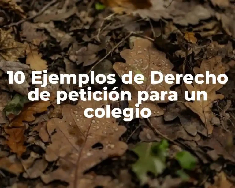 10 Ejemplos de Derecho de petición para un colegio