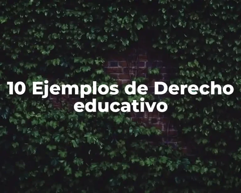 10 Ejemplos de Derecho educativo