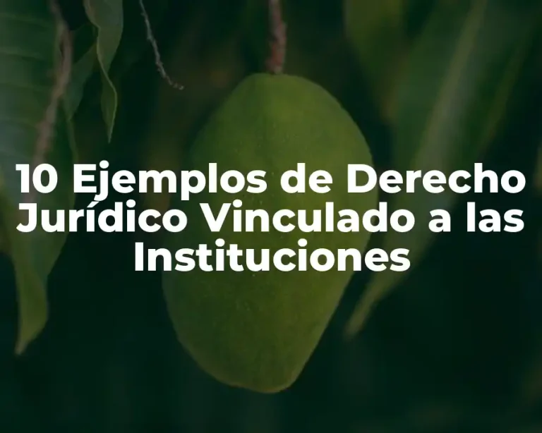 10 Ejemplos de Derecho Jurídico Vinculado a las Instituciones