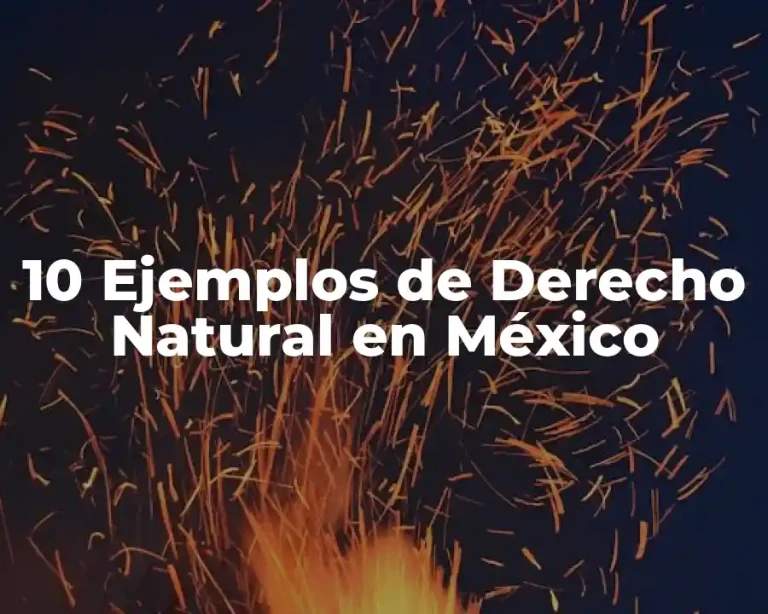 10 Ejemplos de Derecho Natural en México