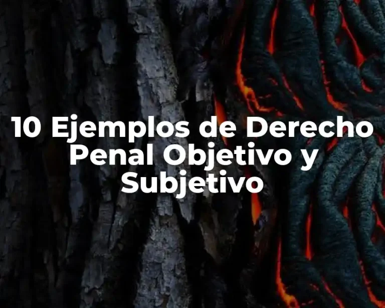 10 Ejemplos de Derecho Penal Objetivo y Subjetivo