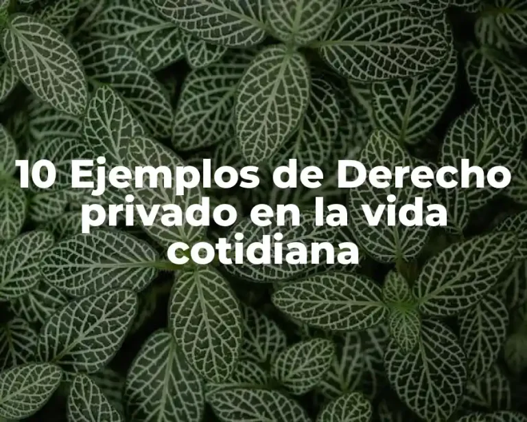 10 Ejemplos de Derecho privado en la vida cotidiana