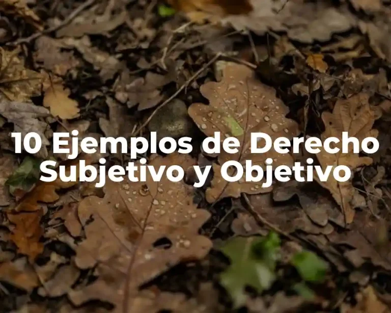 10 Ejemplos de Derecho Subjetivo y Objetivo