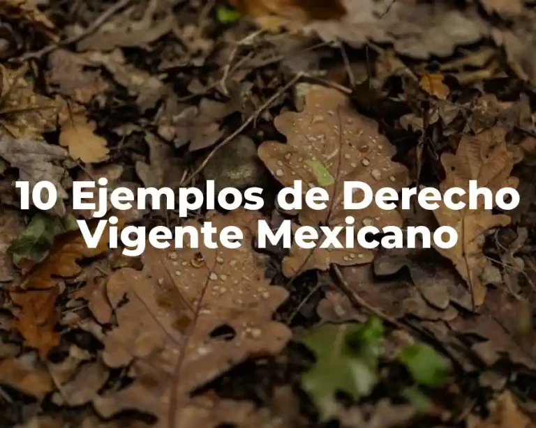 10 Ejemplos de Derecho Vigente Mexicano