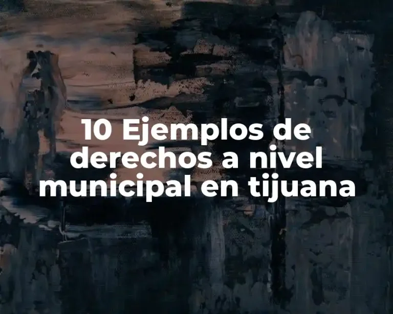10 Ejemplos de derechos a nivel municipal en tijuana