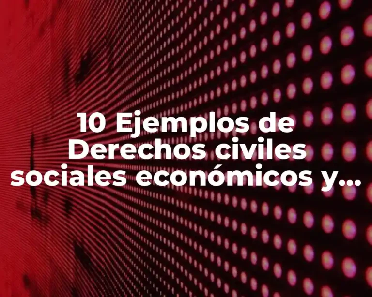10 Ejemplos de Derechos civiles sociales económicos y políticos
