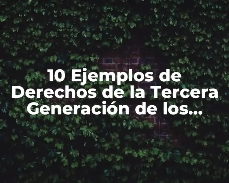 10 Ejemplos de Derechos de la Tercera Generación de los Derechos