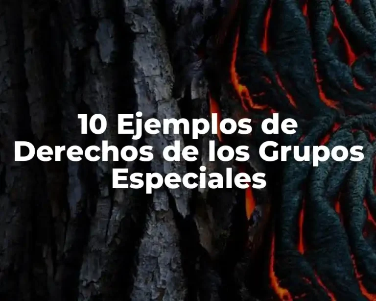 10 Ejemplos de Derechos de los Grupos Especiales