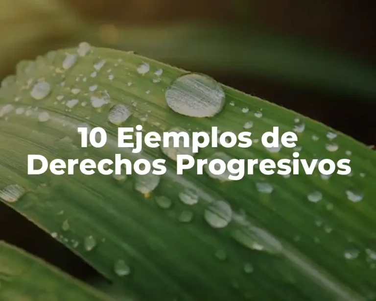 10 Ejemplos de Derechos Progresivos