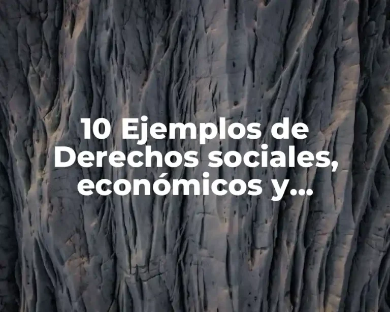10 Ejemplos de Derechos sociales, económicos y culturales en Colombia