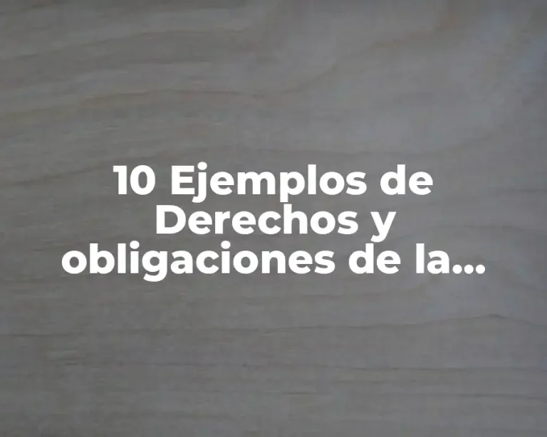 10 Ejemplos de Derechos y obligaciones de la contabilidad