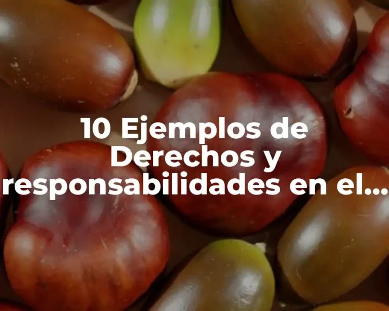 10 Ejemplos de Derechos y responsabilidades en el ámbito familiar