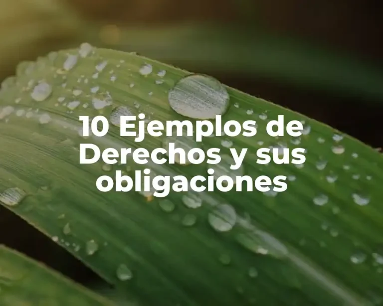 10 Ejemplos de Derechos y sus obligaciones