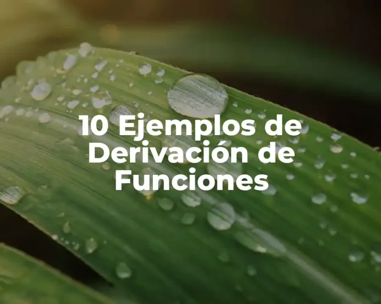 10 Ejemplos de Derivación de Funciones
