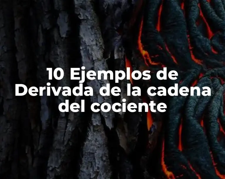 10 Ejemplos de Derivada de la cadena del cociente