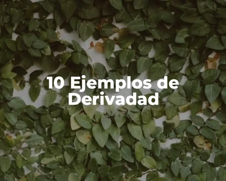 10 Ejemplos de Derivadad