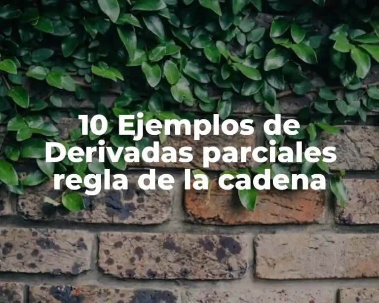 10 Ejemplos de Derivadas parciales regla de la cadena