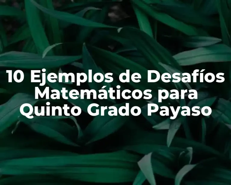 10 Ejemplos de Desafíos Matemáticos para Quinto Grado Payaso