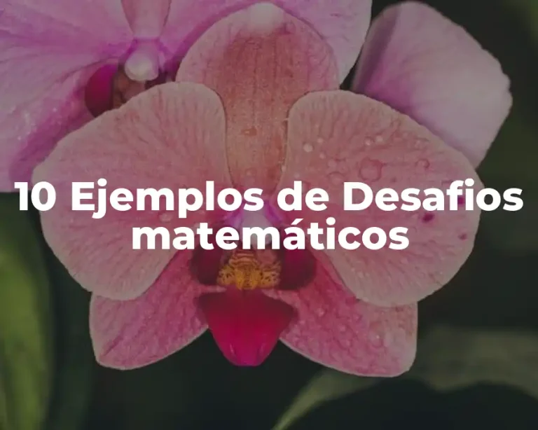 10 Ejemplos de Desafios matemáticos