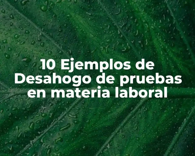 10 Ejemplos de Desahogo de pruebas en materia laboral
