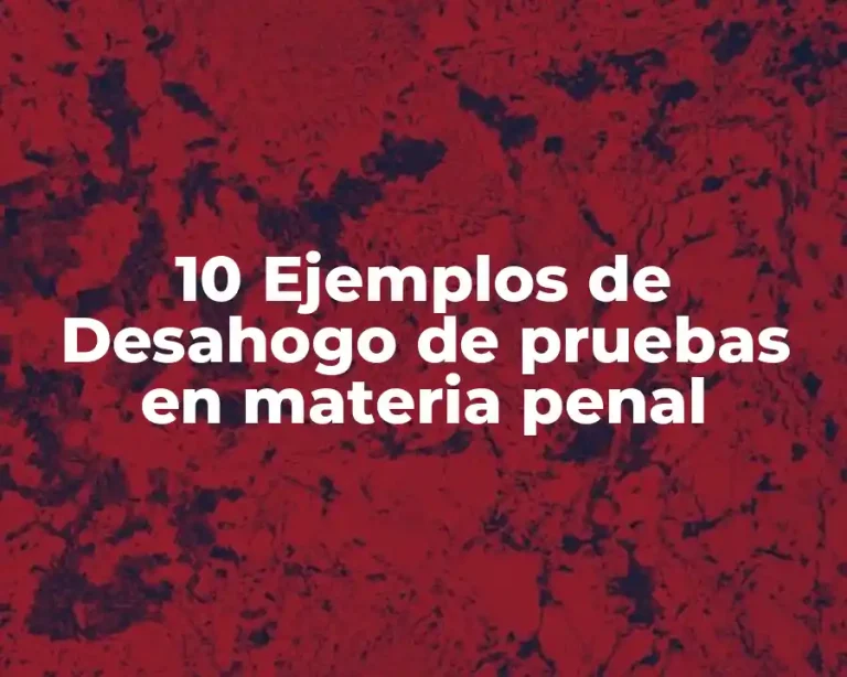 10 Ejemplos de Desahogo de pruebas en materia penal