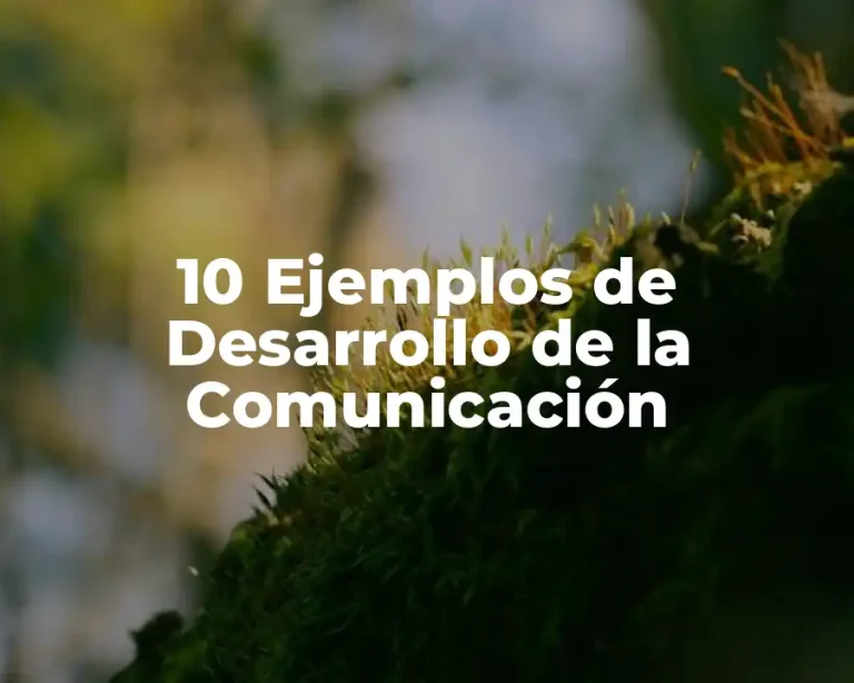 10 Ejemplos de Desarrollo de la Comunicación