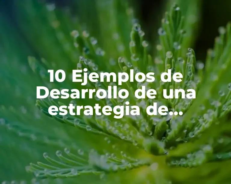 10 Ejemplos de Desarrollo de una estrategia de marketing efectiva