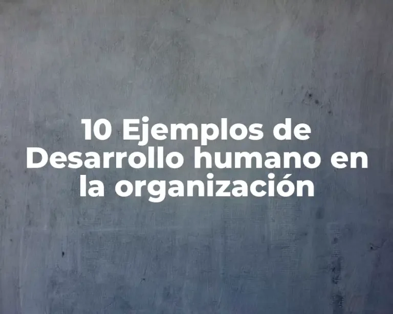 10 Ejemplos de Desarrollo humano en la organización