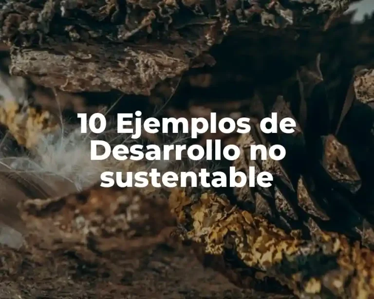 10 Ejemplos de Desarrollo no sustentable