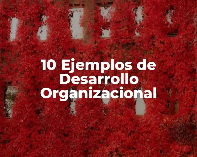 10 Ejemplos de Desarrollo Organizacional