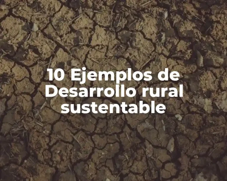 10 Ejemplos de Desarrollo rural sustentable