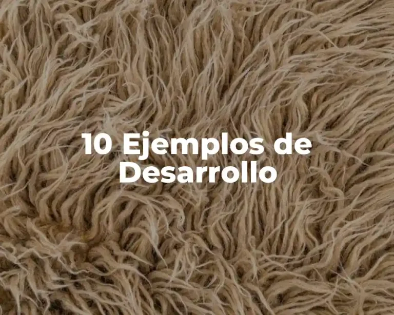 10 Ejemplos de Desarrollo