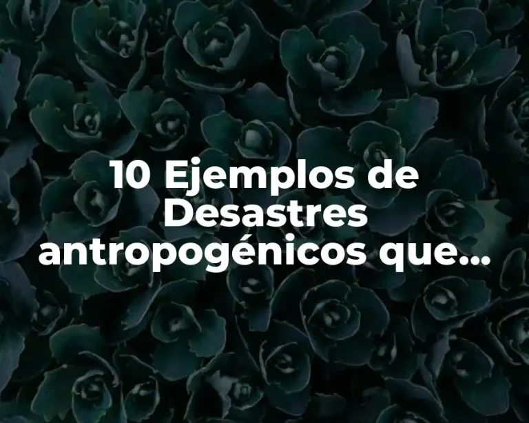 10 Ejemplos de Desastres antropogénicos que han sucedido en el mundo