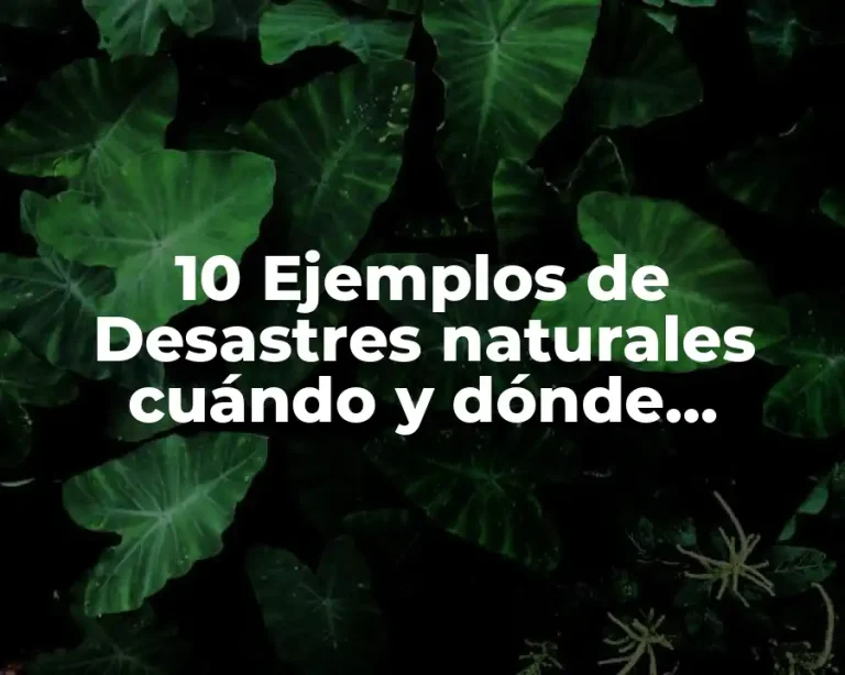 10 Ejemplos de Desastres naturales cuándo y dónde ocurrieron