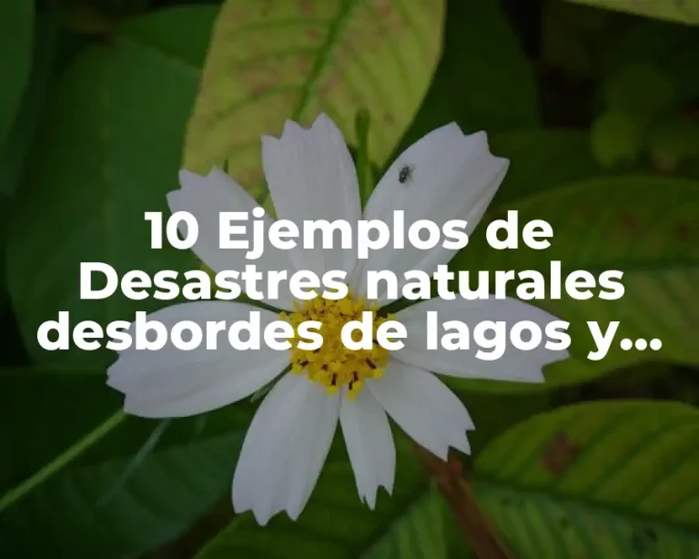10 Ejemplos de Desastres naturales desbordes de lagos y ríos