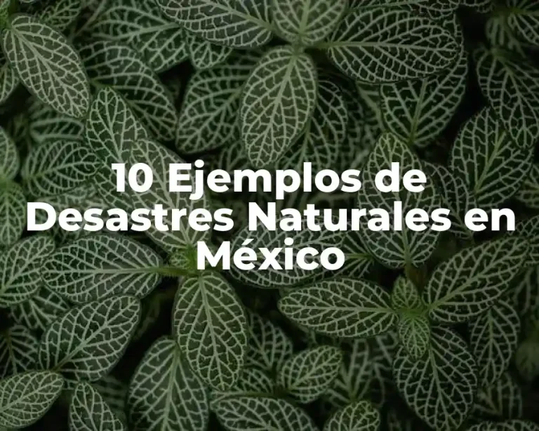 10 Ejemplos de Desastres Naturales en México